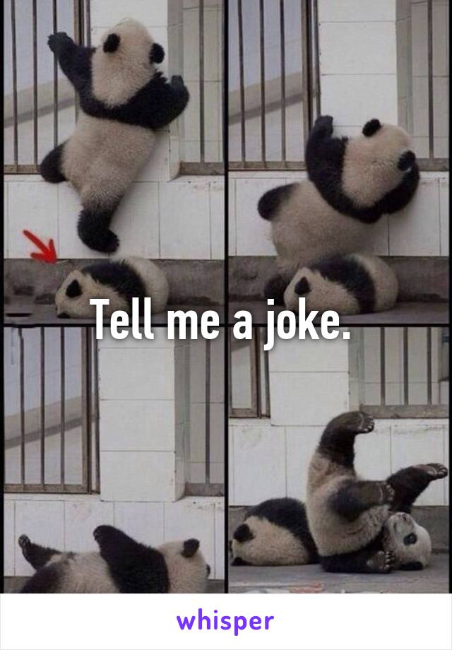 Tell me a joke. 