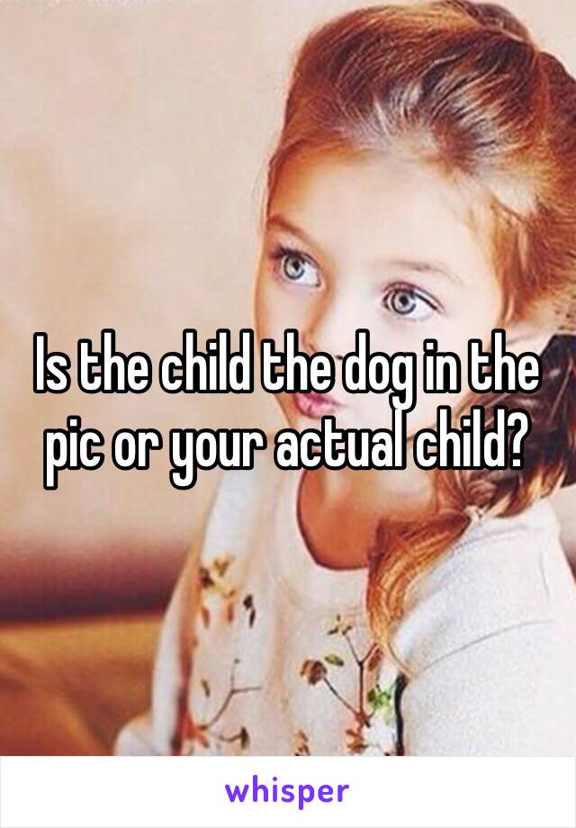 Is the child the dog in the pic or your actual child? 