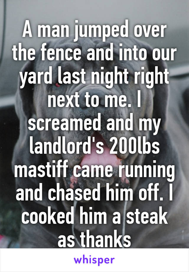 A man jumped over the fence and into our yard last night right next to me. I screamed and my landlord's 200lbs mastiff came running and chased him off. I cooked him a steak as thanks
