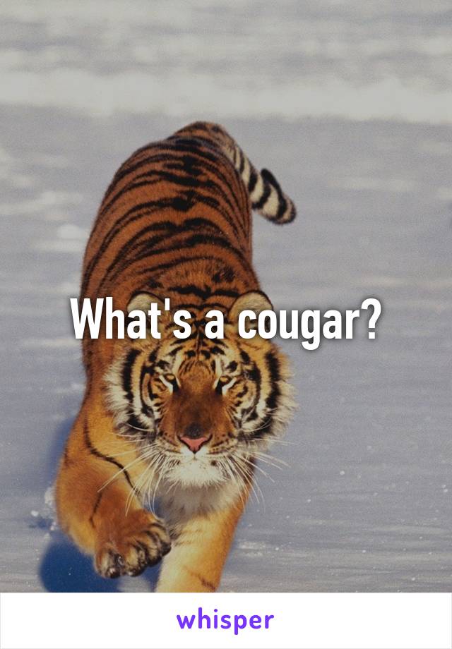 What's a cougar?