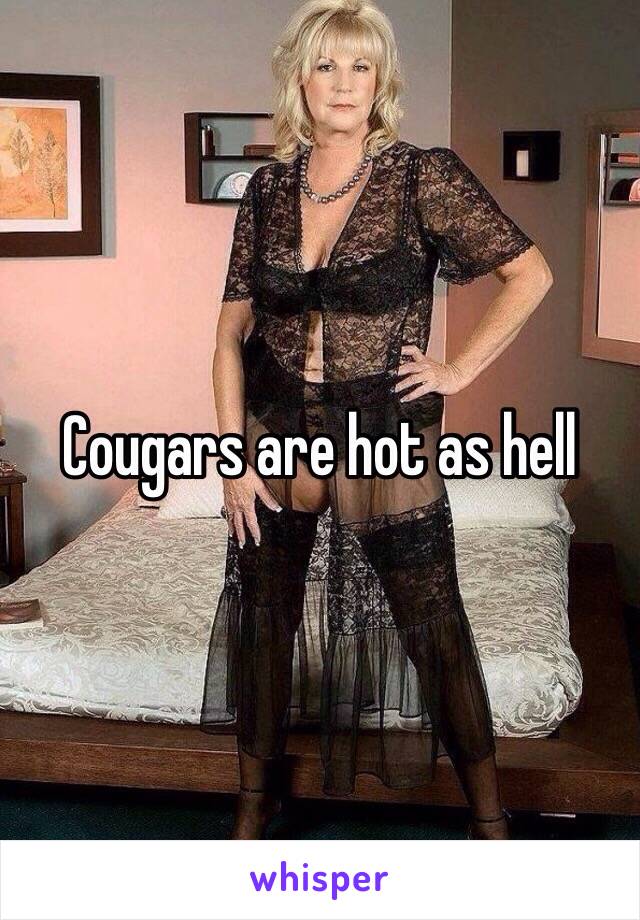 Cougars are hot as hell