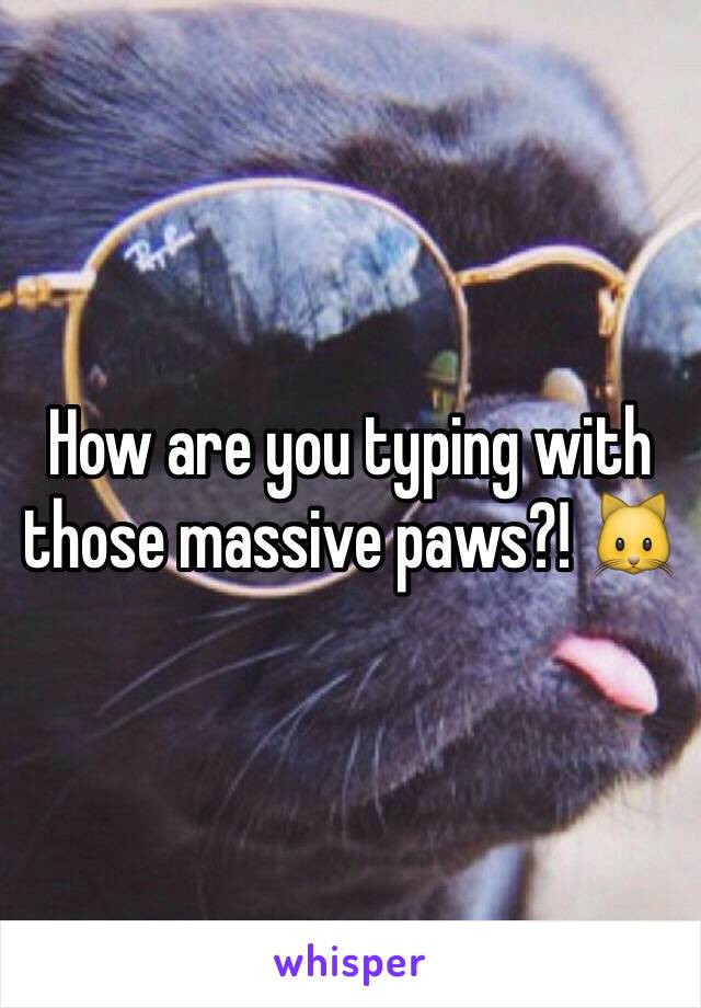 How are you typing with those massive paws?! 🐱