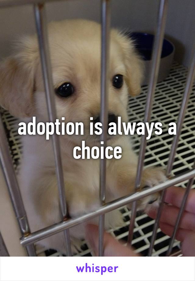 adoption is always a choice