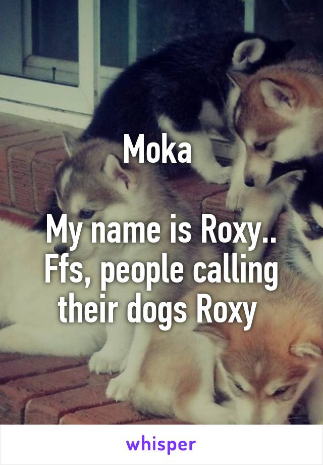 Moka 

My name is Roxy.. Ffs, people calling their dogs Roxy 