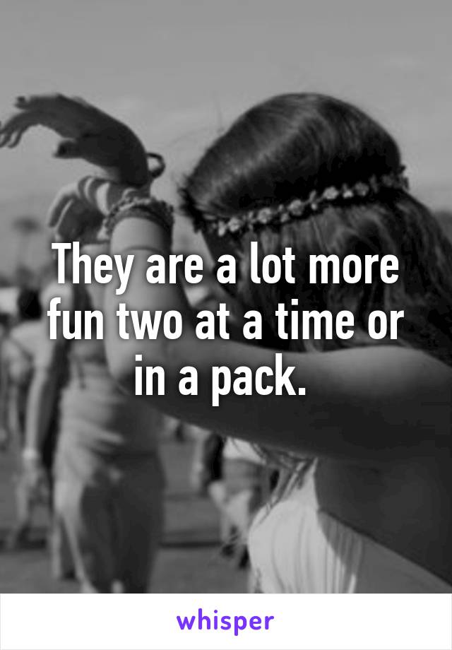 They are a lot more fun two at a time or in a pack. 