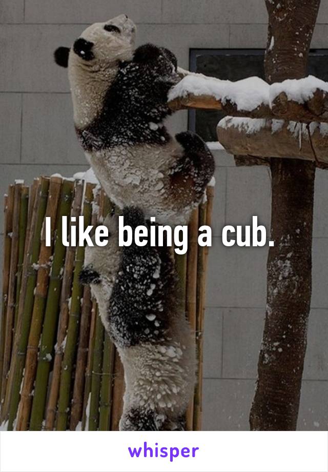 I like being a cub. 