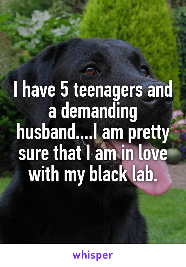 I have 5 teenagers and a demanding husband....I am pretty sure that I am in love with my black lab.