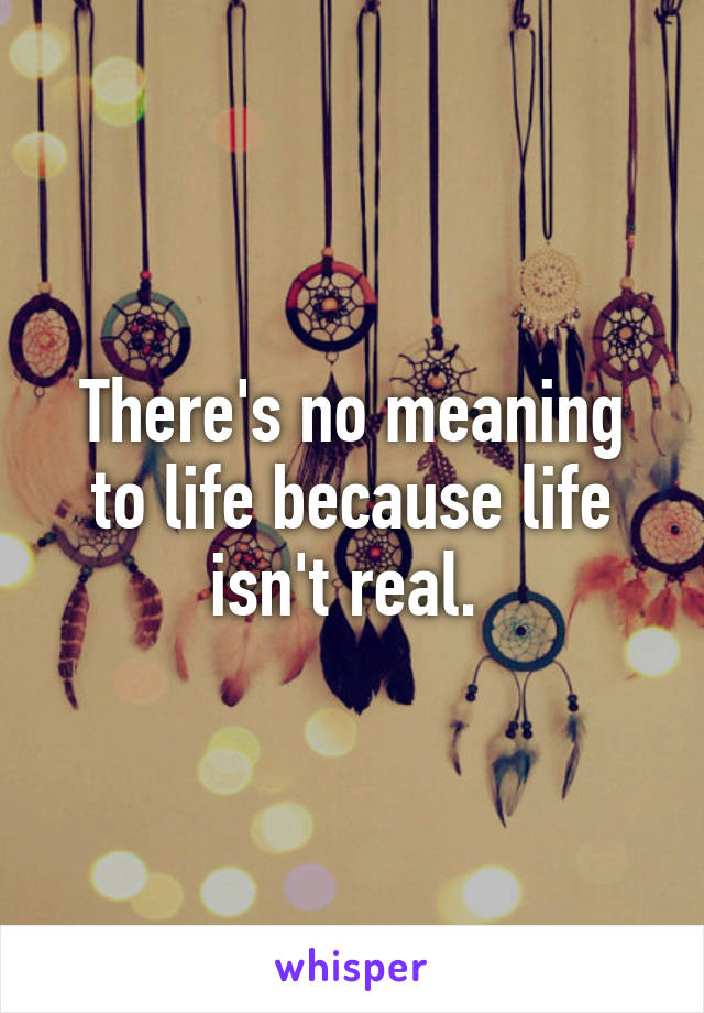 There's no meaning to life because life isn't real. 