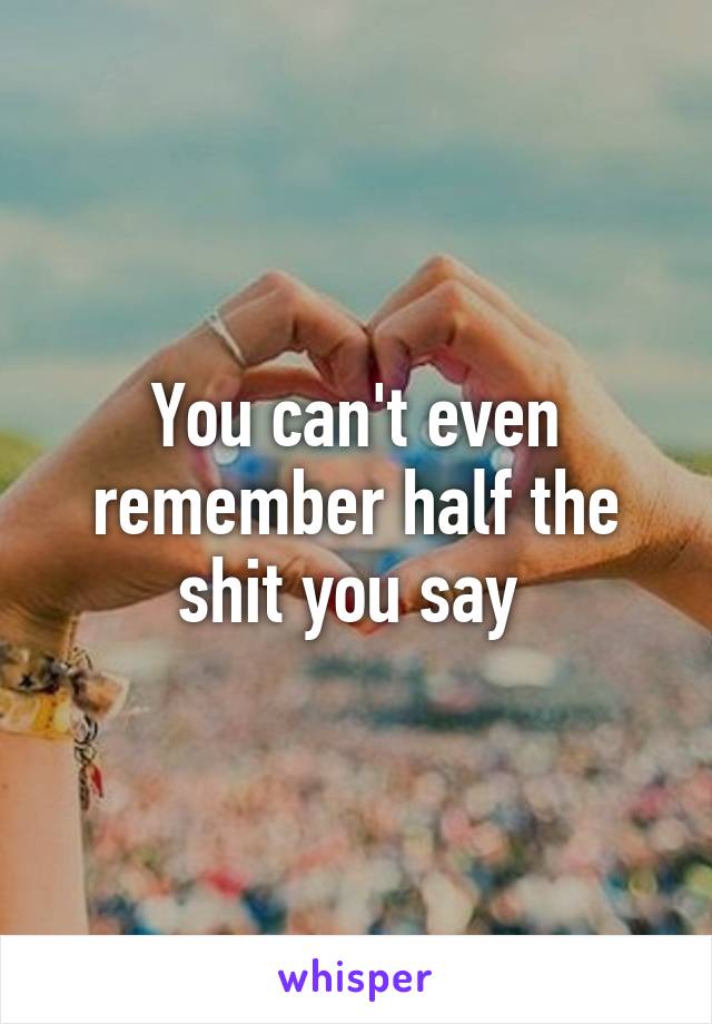 You can't even remember half the shit you say 