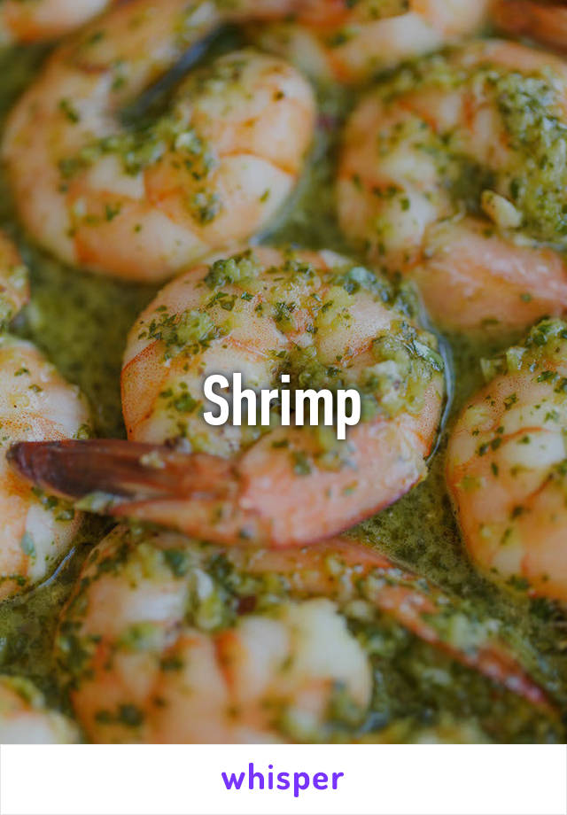 Shrimp