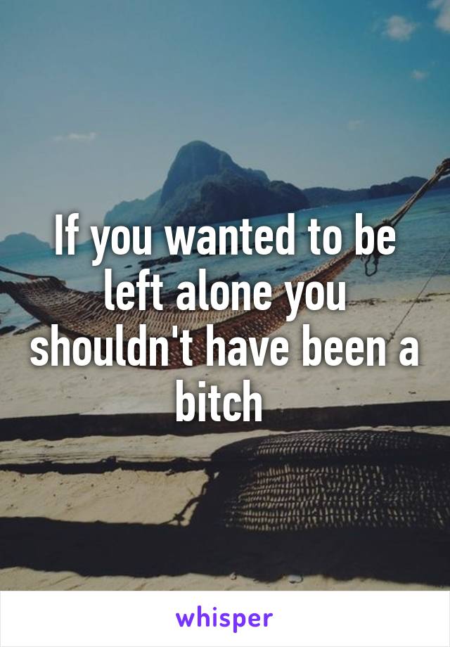 If you wanted to be left alone you shouldn't have been a bitch 