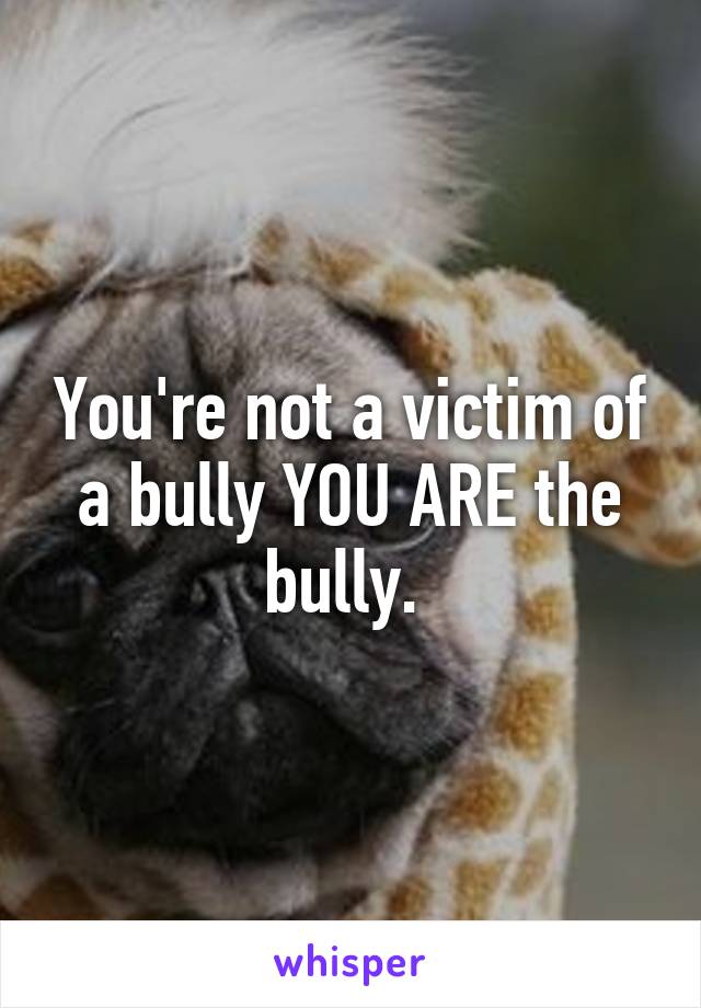 You're not a victim of a bully YOU ARE the bully. 