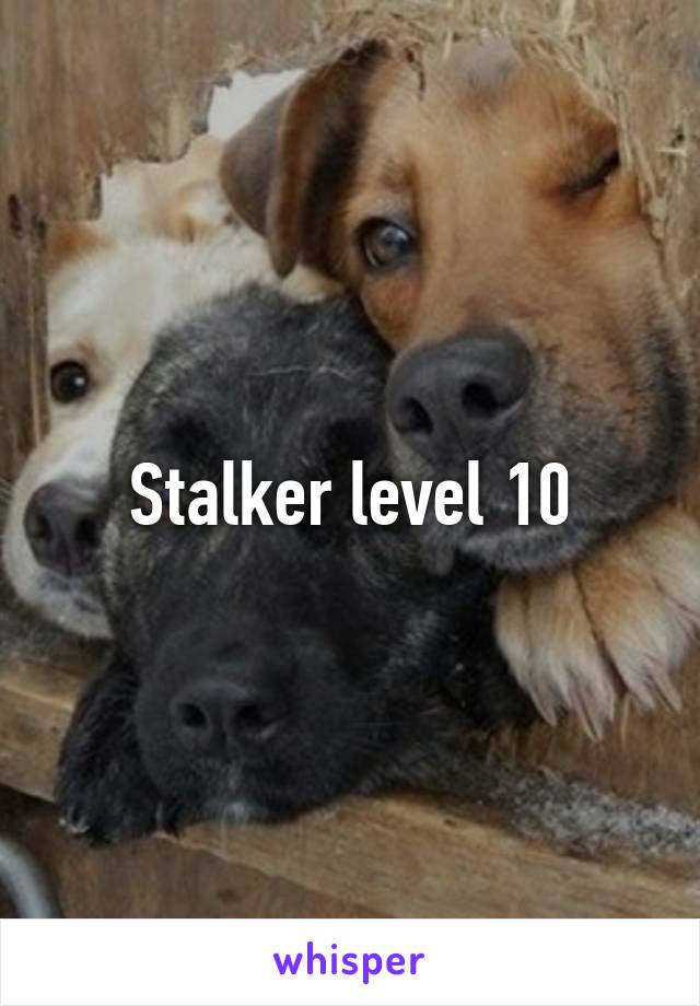 Stalker level 10