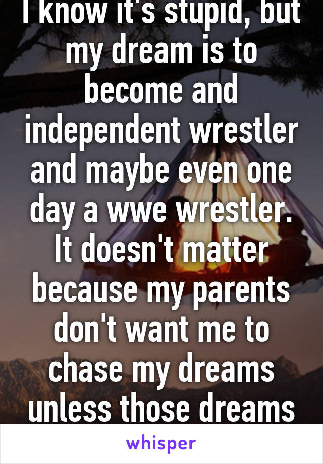 I know it's stupid, but my dream is to become and independent wrestler and maybe even one day a wwe wrestler. It doesn't matter because my parents don't want me to chase my dreams unless those dreams have a high pay