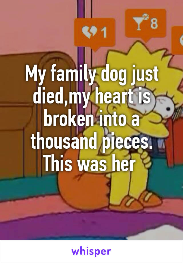 My family dog just died,my heart is broken into a thousand pieces.
This was her 
