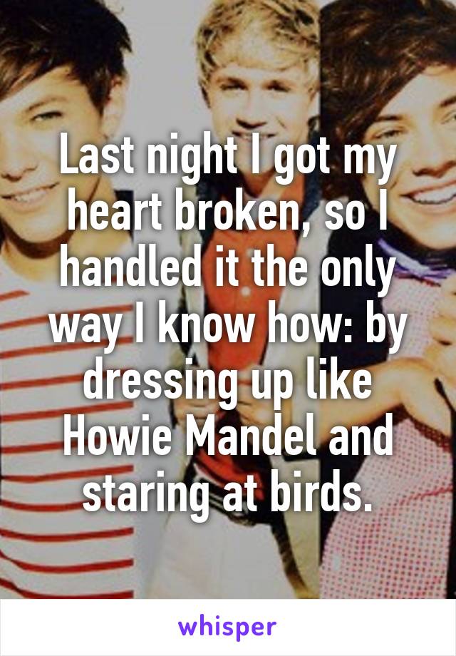 Last night I got my heart broken, so I handled it the only way I know how: by dressing up like Howie Mandel and staring at birds.