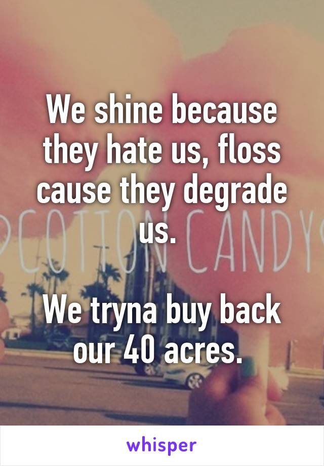 We shine because they hate us, floss cause they degrade us. 

We tryna buy back our 40 acres. 