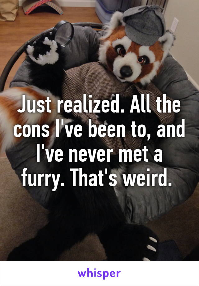 Just realized. All the cons I've been to, and I've never met a furry. That's weird. 