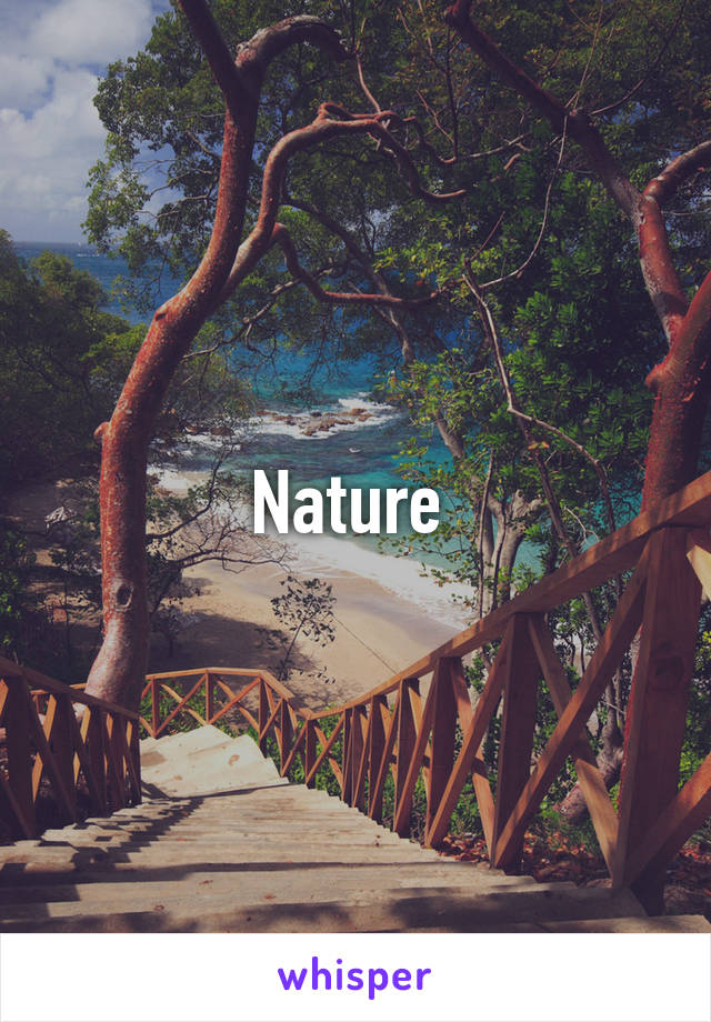 Nature 