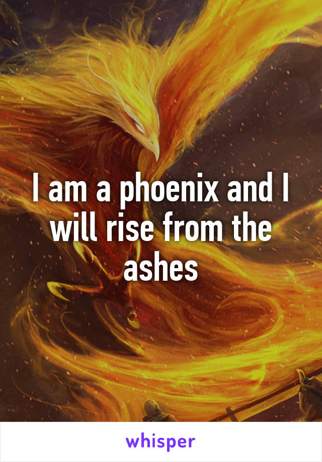 I am a phoenix and I will rise from the ashes