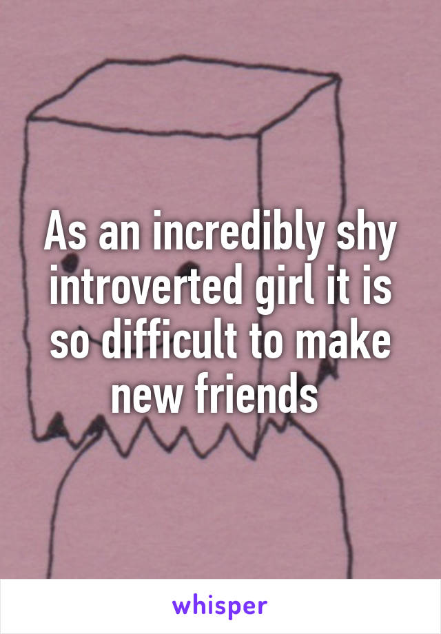 As an incredibly shy introverted girl it is so difficult to make new friends 