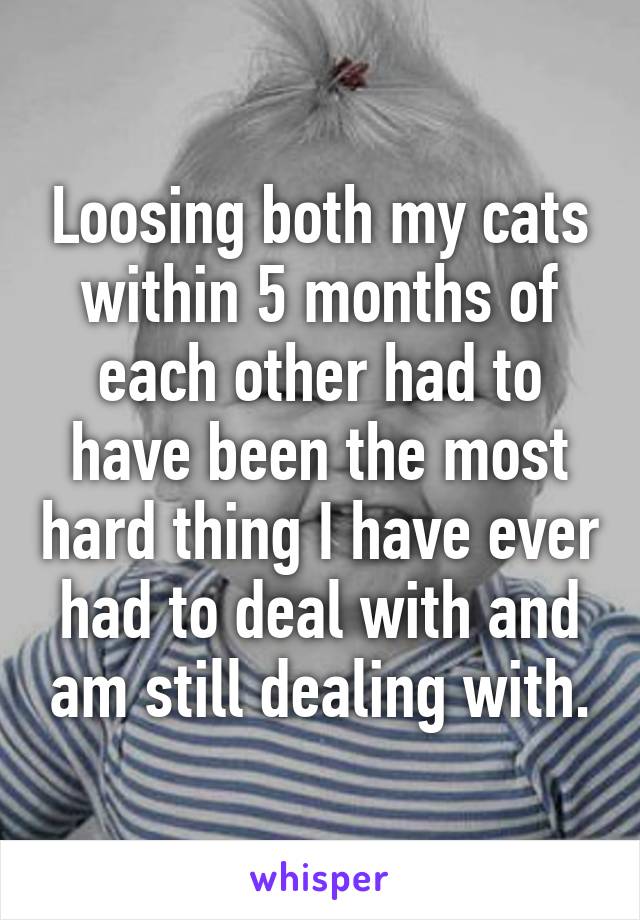 Loosing both my cats within 5 months of each other had to have been the most hard thing I have ever had to deal with and am still dealing with.