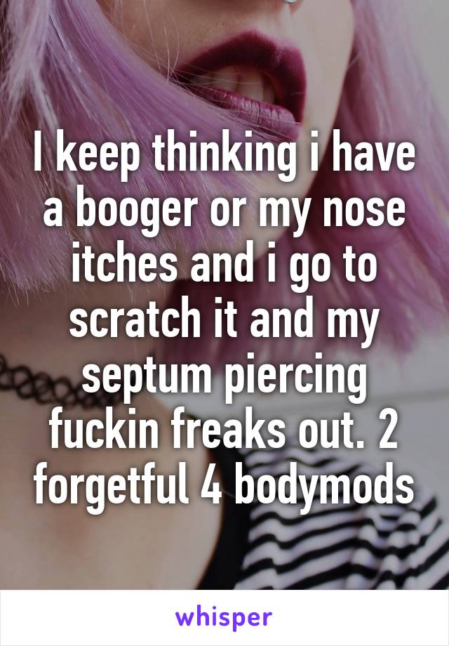 I keep thinking i have a booger or my nose itches and i go to scratch it and my septum piercing fuckin freaks out. 2 forgetful 4 bodymods