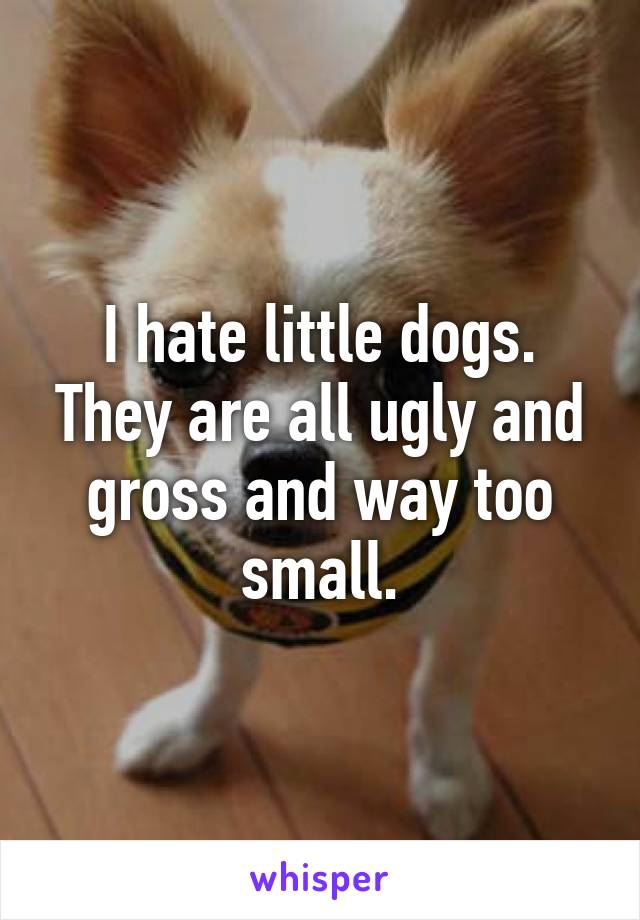 I hate little dogs. They are all ugly and gross and way too small.