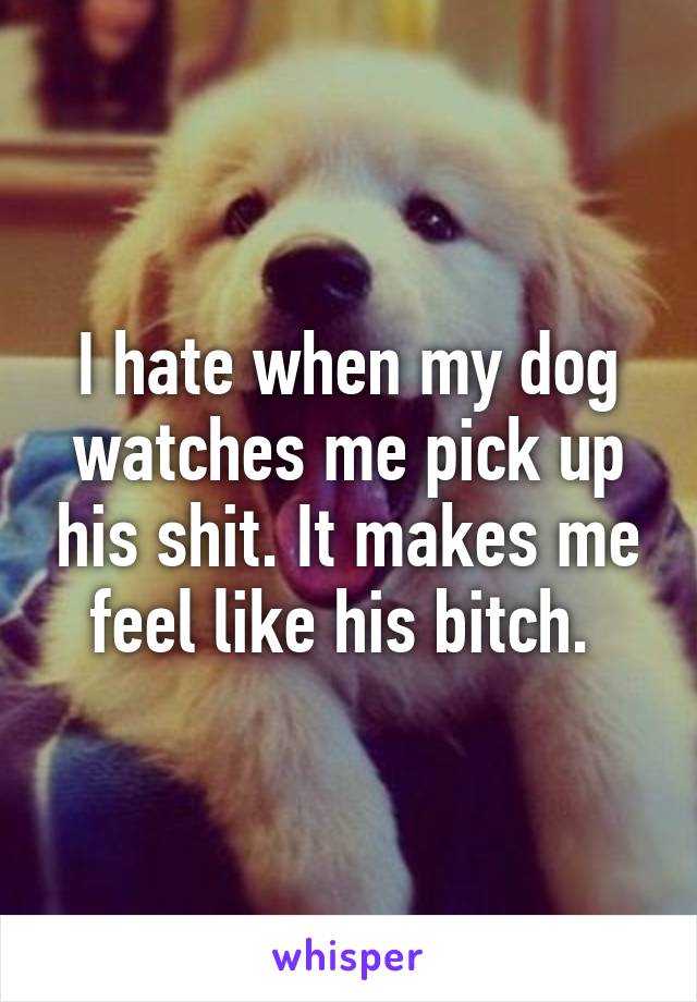 I hate when my dog watches me pick up his shit. It makes me feel like his bitch. 