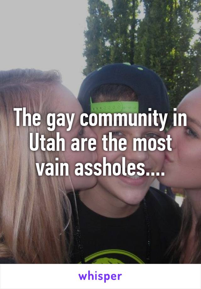 The gay community in Utah are the most vain assholes....