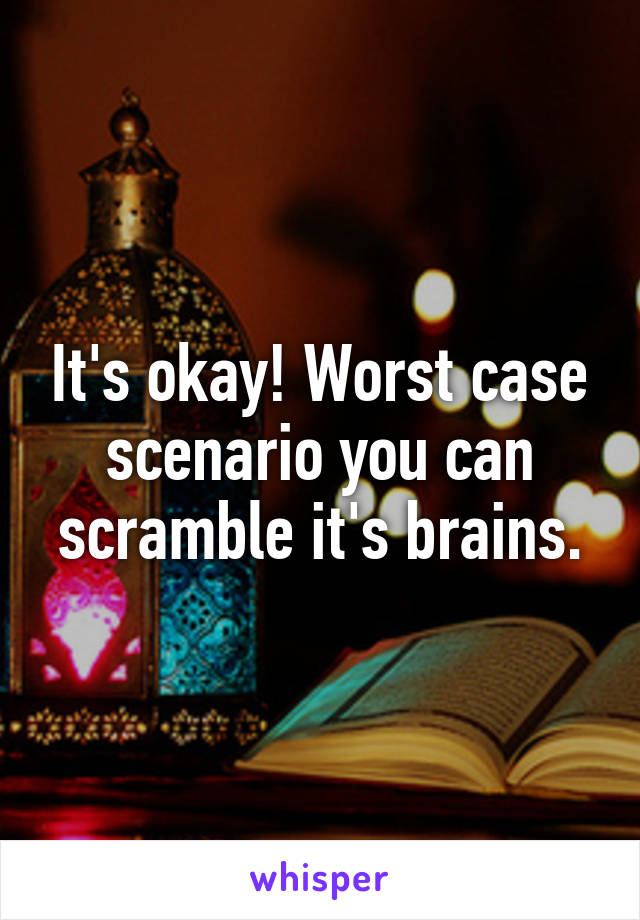 It's okay! Worst case scenario you can scramble it's brains.