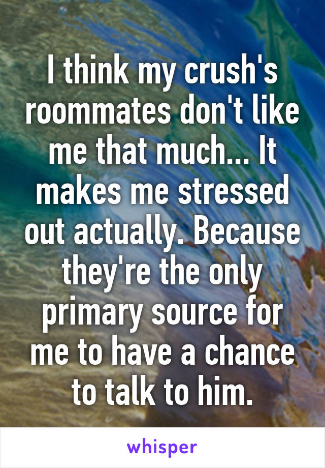 I think my crush's roommates don't like me that much... It makes me stressed out actually. Because they're the only primary source for me to have a chance to talk to him.