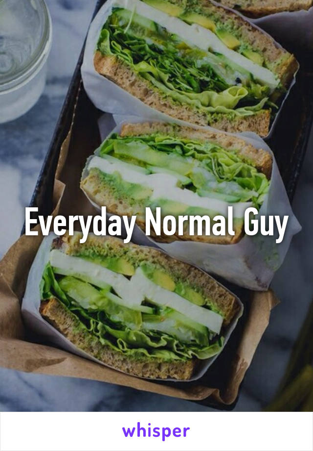 Everyday Normal Guy