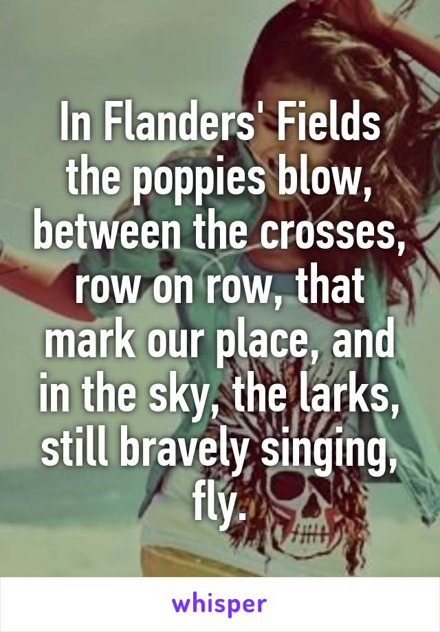 In Flanders' Fields the poppies blow, between the crosses, row on row, that mark our place, and in the sky, the larks, still bravely singing, fly.