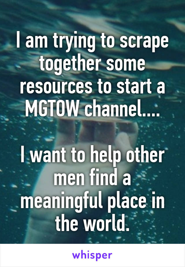 I am trying to scrape together some resources to start a MGTOW channel....

I want to help other men find a meaningful place in the world.