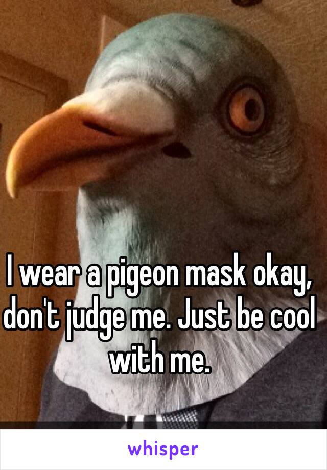 I wear a pigeon mask okay, don't judge me. Just be cool with me.