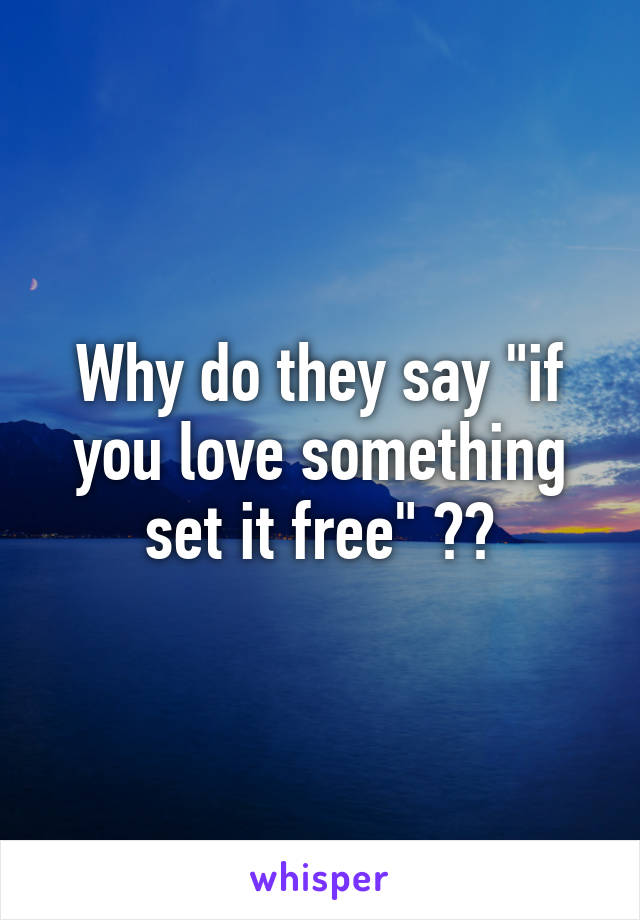 Why do they say "if you love something set it free" ??