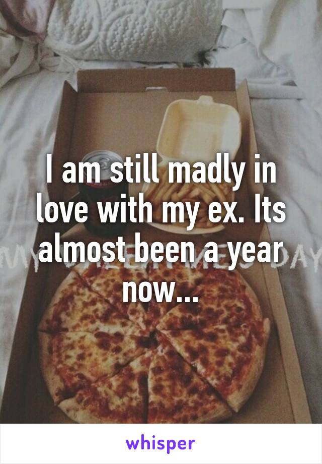 I am still madly in love with my ex. Its almost been a year now...