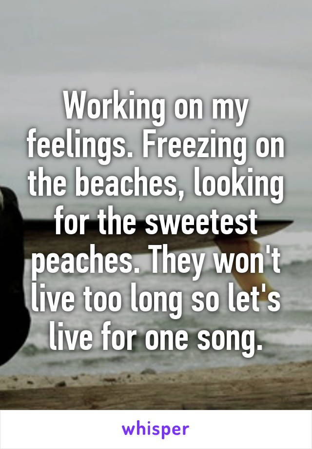 Working on my feelings. Freezing on the beaches, looking for the sweetest peaches. They won't live too long so let's live for one song.