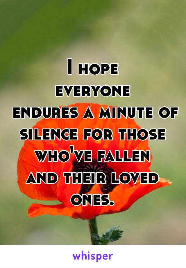 I hope 
everyone
 endures a minute of silence for those who've fallen 
and their loved ones. 