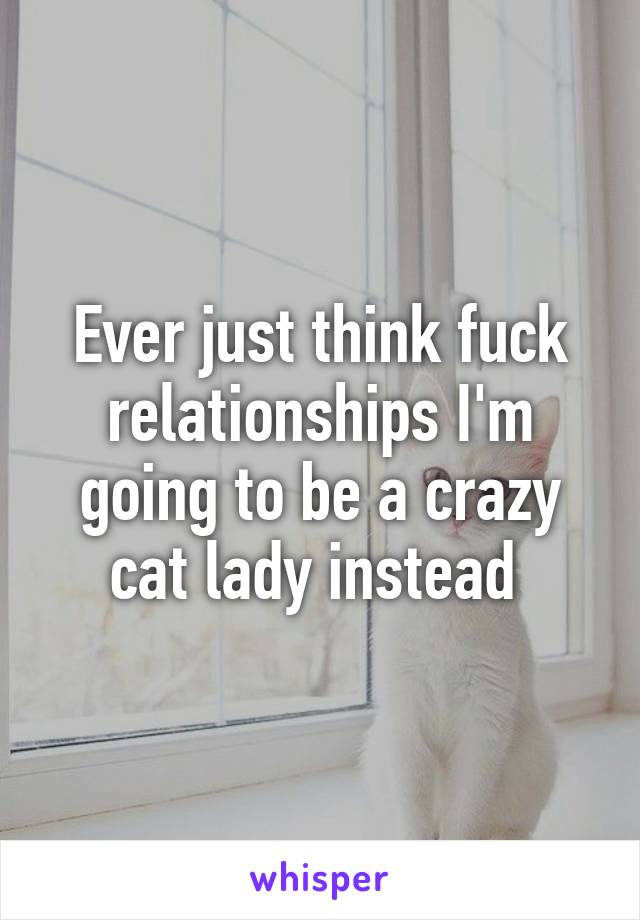 Ever just think fuck relationships I'm going to be a crazy cat lady instead 