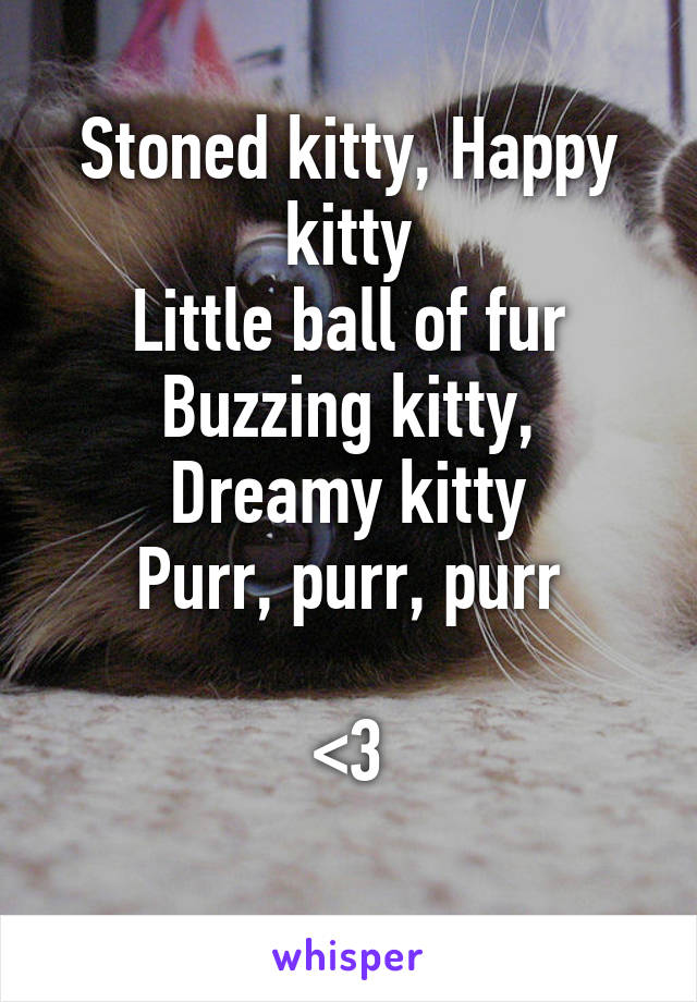 Stoned kitty, Happy kitty
Little ball of fur
Buzzing kitty, Dreamy kitty
Purr, purr, purr

<3
