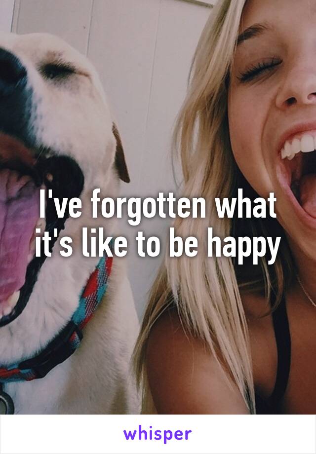 I've forgotten what it's like to be happy