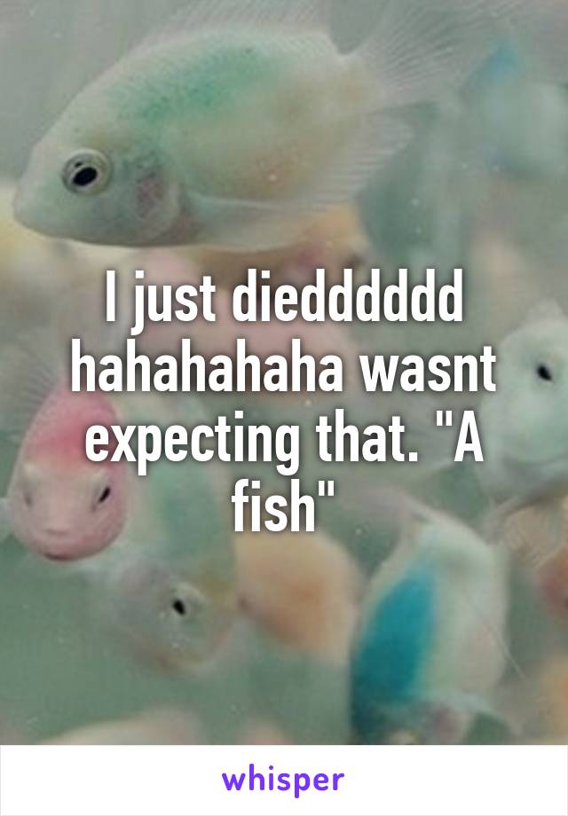 I just diedddddd hahahahaha wasnt expecting that. "A fish"