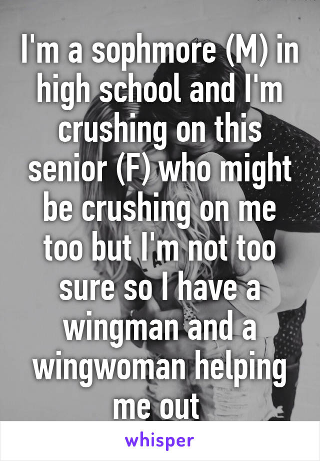 I'm a sophmore (M) in high school and I'm crushing on this senior (F) who might be crushing on me too but I'm not too sure so I have a wingman and a wingwoman helping me out 