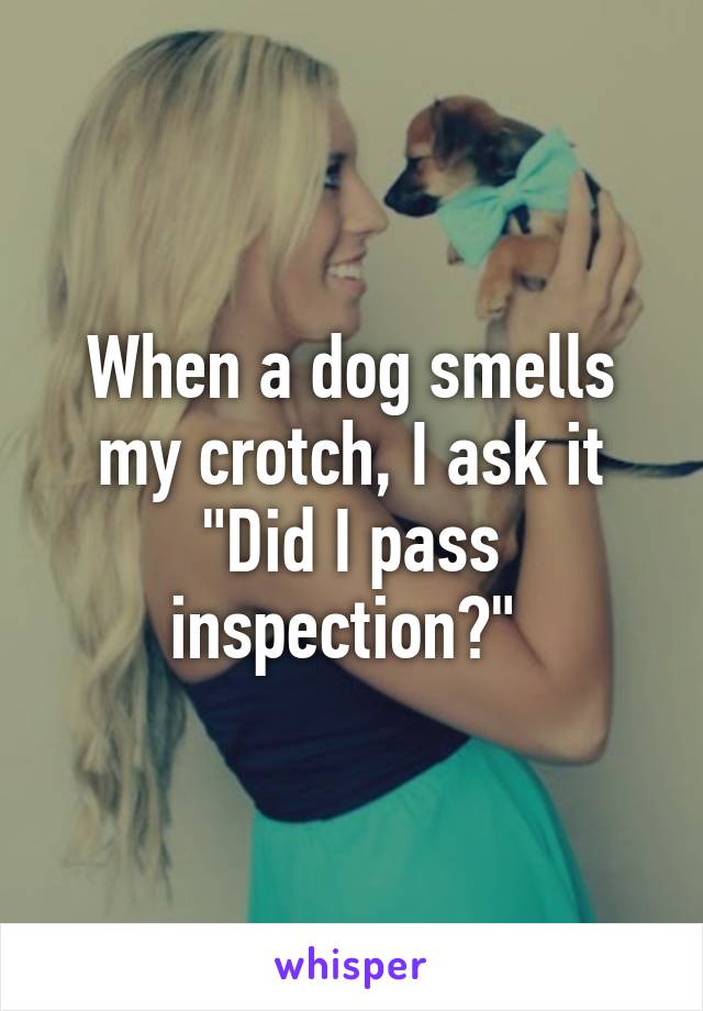 When a dog smells my crotch, I ask it "Did I pass inspection?" 