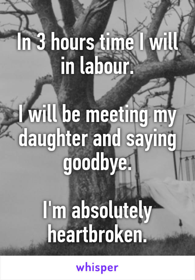 In 3 hours time I will in labour.

I will be meeting my daughter and saying goodbye.

I'm absolutely heartbroken.