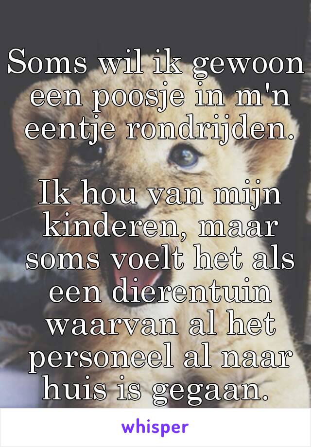 
Soms wil ik gewoon een poosje in m'n eentje rondrijden.

 Ik hou van mijn kinderen, maar soms voelt het als een dierentuin waarvan al het personeel al naar huis is gegaan. 