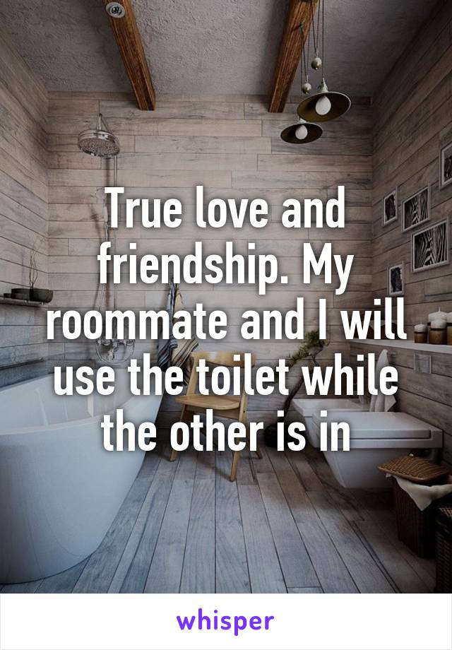 True love and friendship. My roommate and I will use the toilet while the other is in