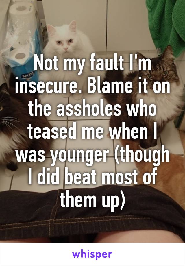 Not my fault I'm insecure. Blame it on the assholes who teased me when I was younger (though I did beat most of them up)